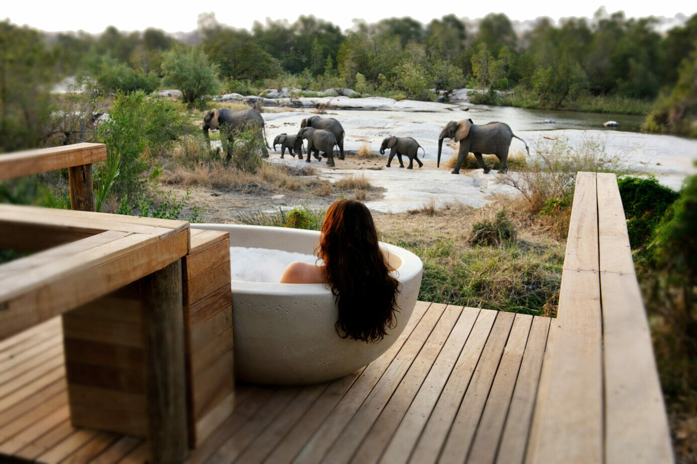 Sabi Sand, South Africa