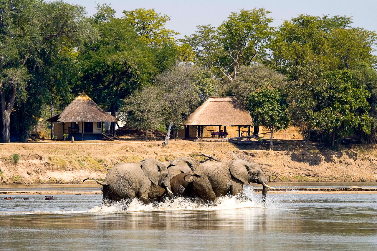 South Luangwa, Zambia